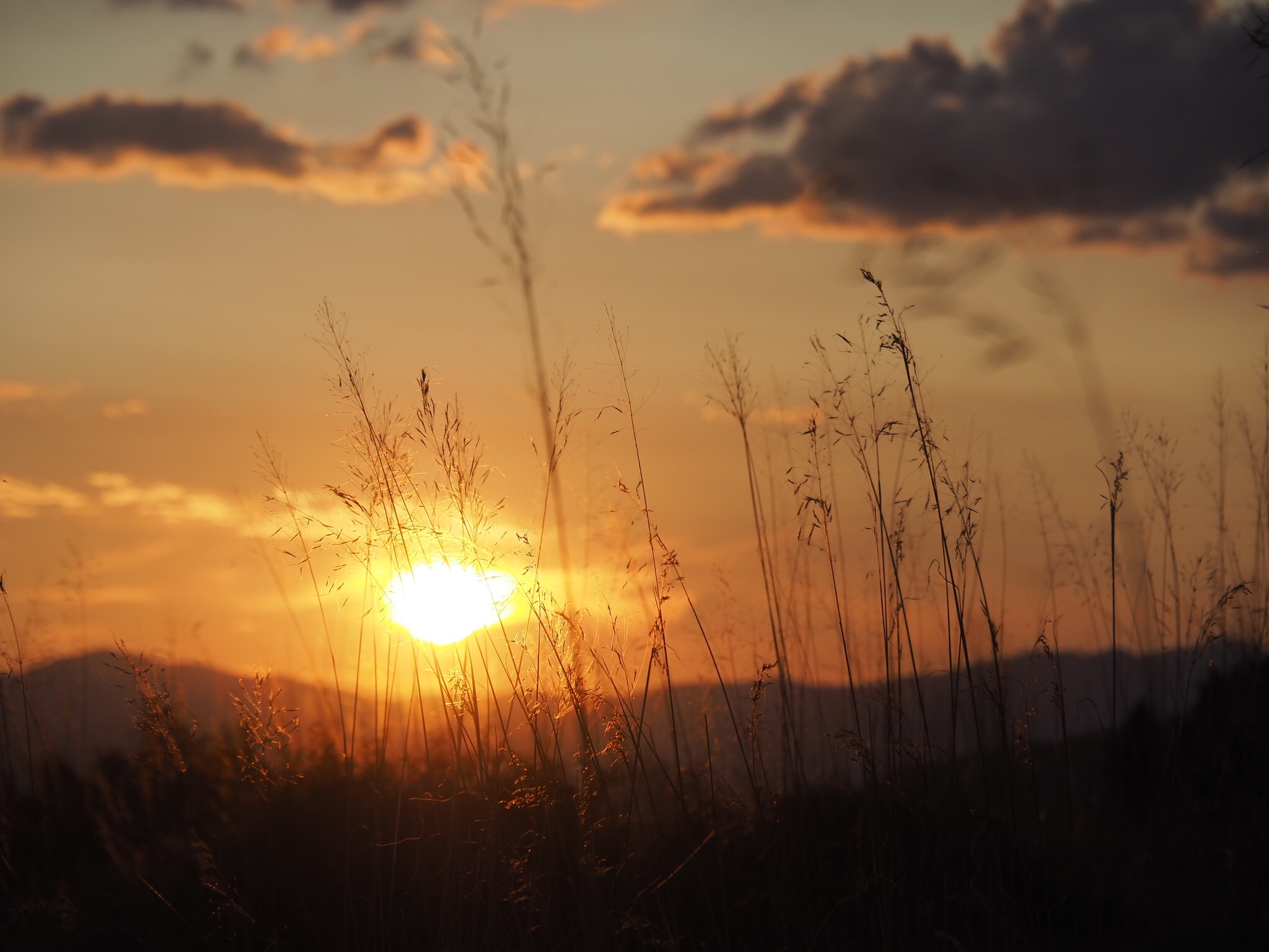 Featured image of post The Adriatic coast ride